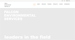 Desktop Screenshot of falconenvironmental.com